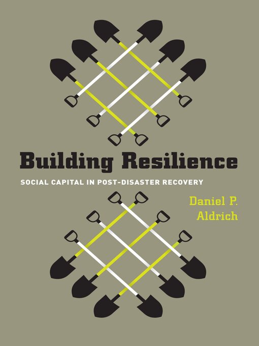 Title details for Building Resilience by Daniel P. Aldrich - Available